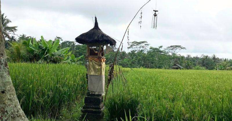 Instagram.com/Rezapurnama